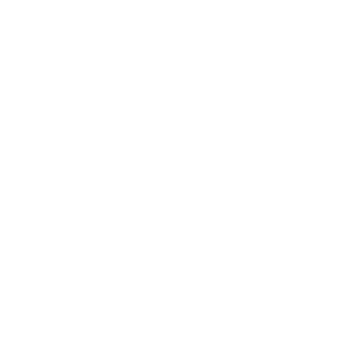 remplacement pare-brise icone blanc